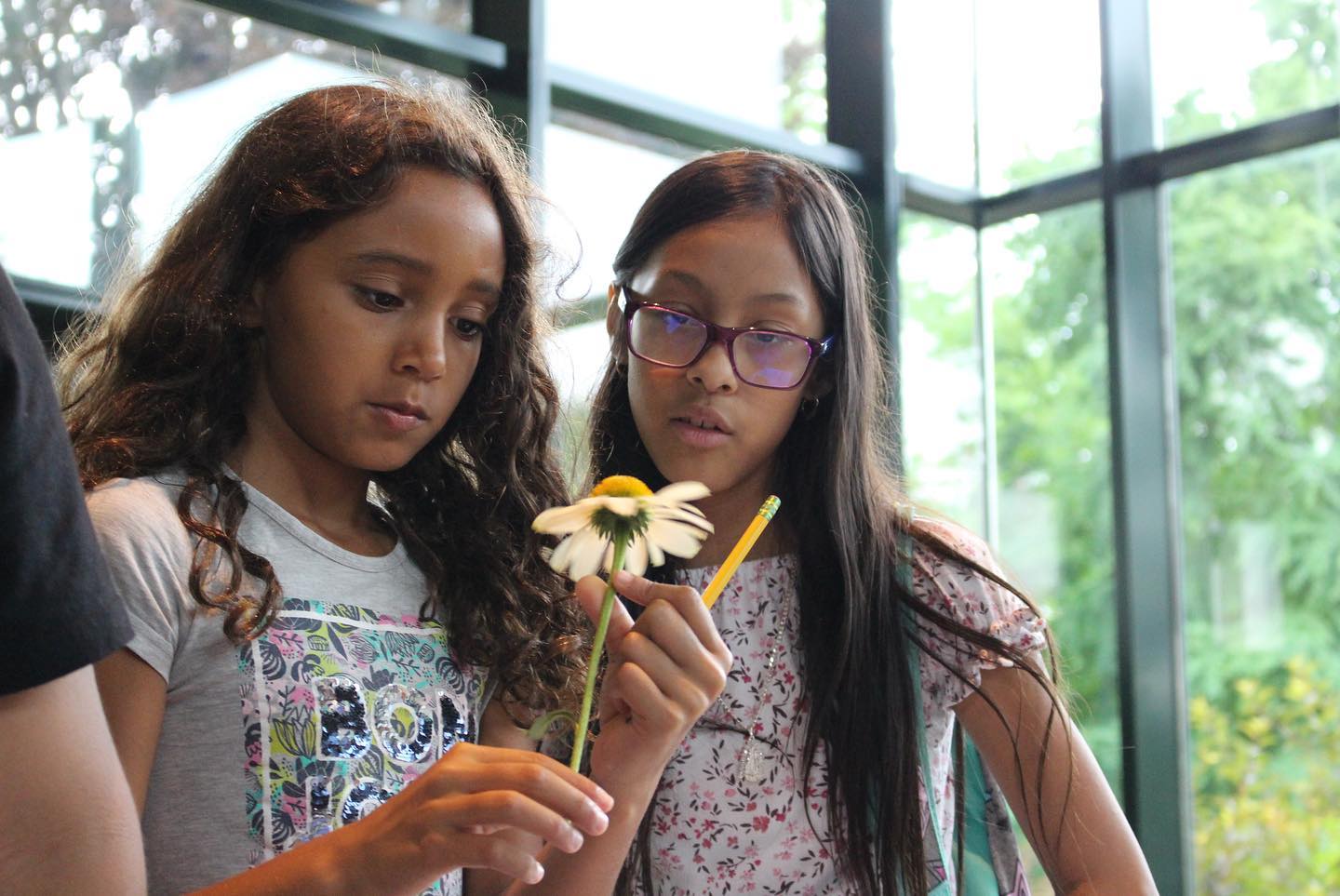 girls and a flower